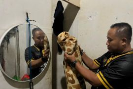 Petugas pengamanan perketat pengawasan untuk antisipasi masuknya barang terlarang