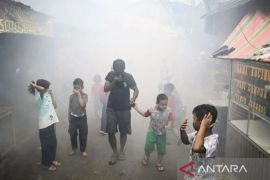 Kasus DBD di Jakarta Selatan menurun pada 2025