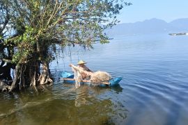 Nelayan Danau Maninjau Agam mulai cari ikan usai banjir bandang