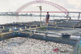 Antropolog Ekologi ULM: Sampel danum bangai tidak representatif