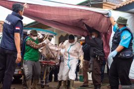 Tim SAR sebut sudah 48 kantong jenazah longsor Cisarua dievakuasi