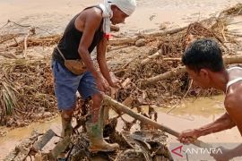250 hektare sawah Padang Pariaman terdampak bencana dapatkan bantuan Oplah 2026