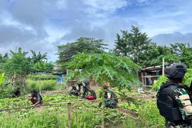 Prajurit Satgas Yonif 511 bantu pengembangan lahan pertanian warga OAP