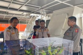Balai Karantina gagalkan penyelundupan 193 burung endemik Sultra