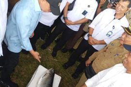 Menko Pangan tinjau pengelolaan perikanan di Kampung Bandeng di Gresik