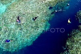 Indonesia, US launch $35M debt-swap program for coral reef protection