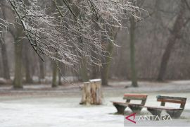 10 warga New York tewas akibat badai musim dingin