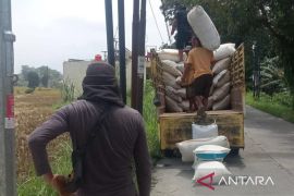 Bulog Cianjur menargetkan serapan gabah tahun ini sekitar 33 ribu ton