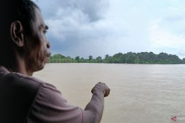 194,5 ha tanaman padi di Tangerang puso akibat bencana banjir