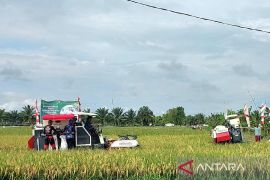 Pemkab Kotim dukung penuh penguatan swasembada pangan nasional