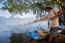 Nelayan mulai kembali menangkap ikan di Danau Maninjau Page 2 Small