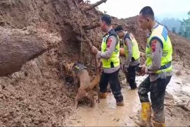 Polres Pemalang kerahkan anjing pelacak bantu pencarian korban tanah longsor