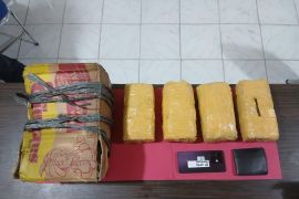 Polda Riau sita 4 bungkus besar ganja usai terima laporan dari layanan call center 110