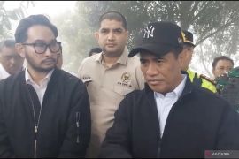 Mentan akan ubah lahan longsor Cisarua dengan tanaman berakar kuat