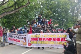 Penambang emas di Poboya minta konsensi CPM diciutkan