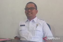 Distan Taput : Pemulihan mendesak 810 ha lahan persawahan terdampak bencana