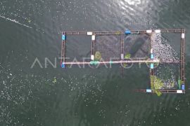 Dampak angin kencang di Danau Maninjau Page 2 Small