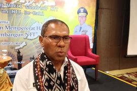 Pemprov NTT godok badan penghubung yang dampingi warganya di Bali