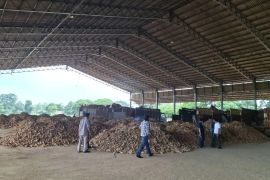 Lampung apresiasi perusahaan yang patuhi Pergub tata kelola singkong