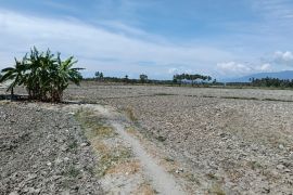 BPBD Sulteng dan Pemkab Parimo asesmen lapangan dampak kekeringan