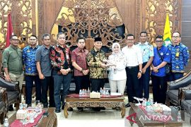 Lion Air jajaki potensi kembali mengudara di Sampit