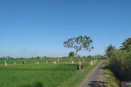 Pemerintah Pusat kirim Rp11,93 triliun TKD ke Bali selama 2025