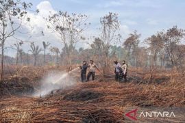 Kemenhut siapkan strategi terpadu hadapi ancaman karhutla