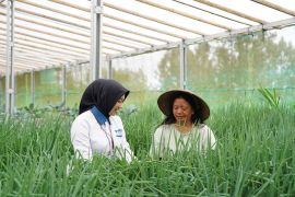 PNM berkomitmen melakukan pemberdayaan seiring pembiayaan usaha ultra mikro