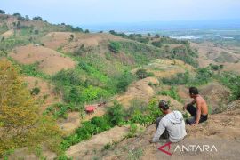 Deforestasi dan perubahan lahan intensifkan gelombang panas global