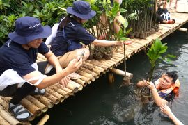 Fluidra berupaya lindungi mangrove sebagai investasi berkelanjutan