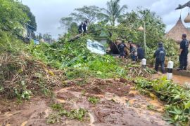 BPBD Gianyar maksimalkan pembersihan longsoran di jalur wisata Ceking-Kintamani