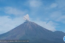 Semeru alami erupsi dengan tinggi letusan 700 meter di atas puncak
