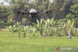 Kementan dukung pemanfaatan 'drone' untuk pertanian berkelanjutan