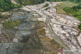 Update rehabilitasi sawah terdampak Bencana Sumatera, realiasi Aceh paling rendah