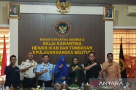 BKHIT Bangka Belitung perketat pengawasan cegah Virus Nipah India