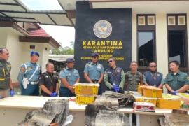 Balai Karantina Lampung gagalkan penyelundupan satwa ilegal