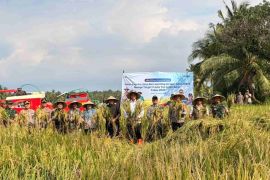 Bulog genjot serapan gabah petani NTB, Bidik target 4 juta ton beras 2026