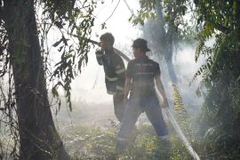 Kebakaran lahan di batas Kota Pontianak
