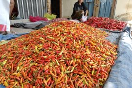 Harga cabai di Mataram tembus Rp70 ribu per Kg, Naik dua kali lipat