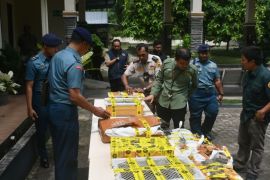 Penyelundupan 445 kulit ular piton digagalkan petugas di Bakauheni