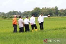 Bangkalan gencarkan pendidikan SL untuk tingkatkan produksi pangan