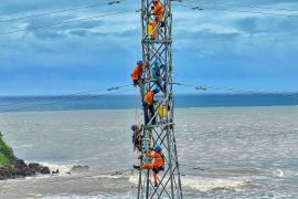 Pemeliharaan jalur transmisi utama, PLN perkuat keandalan listrik Sumbawa