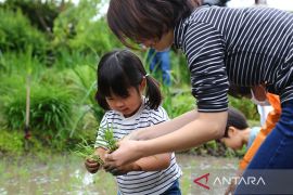 Kasus bunuh diri anak di Jepang catat rekor tertinggi pada 2025