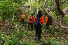 Seorang lansia tersesat di hutan Selayar belum ditemukan