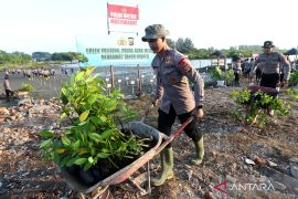 Pengamat nilai AUTP jadi opsi untuk lindungi risiko gagal panen petani