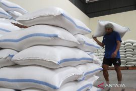 Bulog Lampung Selatan pastikan stok beras cukup hingga Lebaran 2026