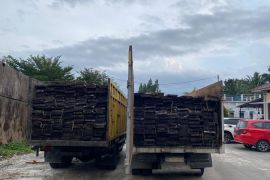 Polda Riau ringkus dua pria pengangkut kayu ilegal di suaka margasatwa Kerumutan
