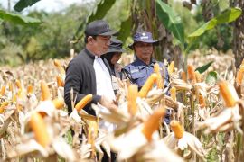 Bupati: SADESAHE angkat produktivitas desa Bengkulu Utara