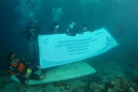 PLN Peduli bantu pengembangan Desa Wisata Sani-Sani di Kolaka