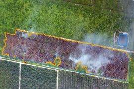 Hujan deras dua hari belum mampu padamkan kebakaran gambut di Kotim